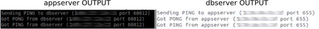 appserver-dbserver-output.jpg